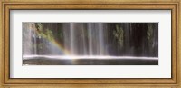 Rainbow formed in front of waterfall in a forest, California, USA Fine Art Print