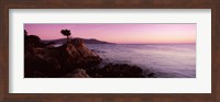 Silhouette of a cypress tree at coast, The Lone Cypress, 17 mile Drive, Carmel, California, USA Fine Art Print