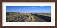 Desert road passing through the grasslands, Namibia Fine Art Print