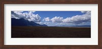 Cattle pasture, Highway N7 from cape town to Namibia towards Citrusdal, Western Cape Province, South Africa Fine Art Print