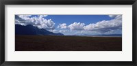 Cattle pasture, Highway N7 from cape town to Namibia towards Citrusdal, Western Cape Province, South Africa Fine Art Print
