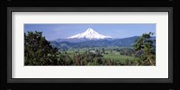 Trees and farms with a snowcapped mountain in the background, Mt Hood, Oregon, USA Fine Art Print