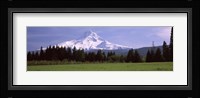Field with a snowcapped mountain in the background, Mt Hood, Oregon (horizontal) Fine Art Print