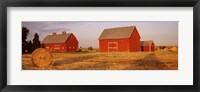 Red barns in a farm, Palouse, Whitman County, Washington State, USA Fine Art Print
