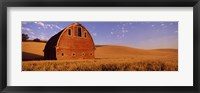 Old barn in a wheat field, Palouse, Whitman County, Washington State Fine Art Print
