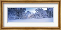 Oak trees and rock formations covered with snow, Half Dome, Yosemite National Park, California Fine Art Print
