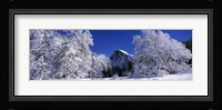Half Dome, Yosemite National Park, Mariposa County, California Fine Art Print