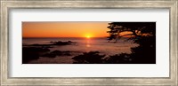 Sunset over the sea, Point Lobos State Reserve, Carmel, Monterey County, California, USA Fine Art Print
