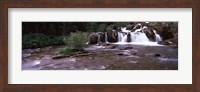 Waterfall in a forest, US Glacier National Park, Montana, USA Fine Art Print