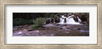 Waterfall in a forest, US Glacier National Park, Montana, USA Fine Art Print