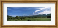 Hot Air Balloon Rodeo, Steamboat Springs, Colorado (horizontal) Fine Art Print