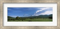 Hot Air Balloon Rodeo, Steamboat Springs, Colorado (horizontal) Fine Art Print