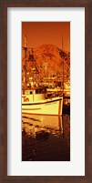 Fishing boats in the bay, Morro Bay, San Luis Obispo County, California (vertical) Fine Art Print