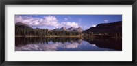 Reflection of trees and clouds in the lake, Molas Lake, Colorado, USA Fine Art Print