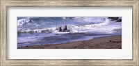 Elephant seals in the sea, San Luis Obispo County, California, USA Fine Art Print