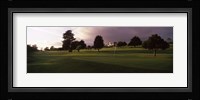 Trees in a golf course, Montecito Country Club, Santa Barbara, California, USA Fine Art Print