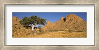Tree in the Namib Desert, Namibia Fine Art Print