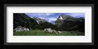 Mountains in a forest, Mt Santis, Mt Altmann, Appenzell Alps, St Gallen Canton, Switzerland Fine Art Print