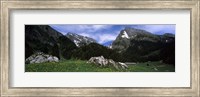 Mountains in a forest, Mt Santis, Mt Altmann, Appenzell Alps, St Gallen Canton, Switzerland Fine Art Print