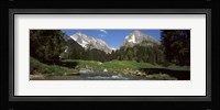 Stream flowing through a forest, Mt Santis, Mt Altmann, Appenzell Alps, St Gallen Canton, Switzerland Fine Art Print