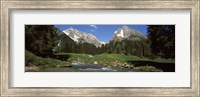 Stream flowing through a forest, Mt Santis, Mt Altmann, Appenzell Alps, St Gallen Canton, Switzerland Fine Art Print