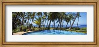 Palm Trees in Maui, Hawaii (horizontal) Fine Art Print