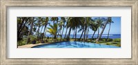 Palm Trees in Maui, Hawaii (horizontal) Fine Art Print