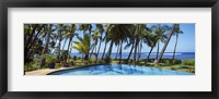 Palm Trees in Maui, Hawaii (horizontal) Fine Art Print