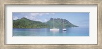 Sailboats in the sea, Tahiti, Society Islands, French Polynesia Fine Art Print