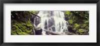 Waterfall in a forest, Waheena Falls, Hood River, Oregon, USA Fine Art Print