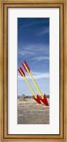 Twin arrows in the field, Route 66, Arizona Fine Art Print