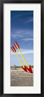 Twin arrows in the field, Route 66, Arizona Fine Art Print