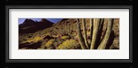 Desert Landscape, Organ Pipe Cactus National Monument, Arizona, USA Fine Art Print