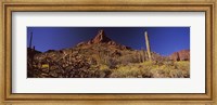 Organ Pipe Cactus National Monument, Arizona Fine Art Print