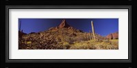 Organ Pipe Cactus National Monument, Arizona Fine Art Print