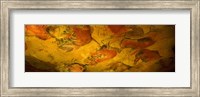 Paleolithic paintings, Altamira Cave, Santillana del mar, Cantabria, Spain Fine Art Print