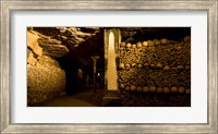 Stacked bones in catacombs, Paris, Ile-de-France, France Fine Art Print