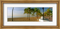 Palm trees on the beach, Las Olas Boulevard, Fort Lauderdale, Florida, USA Fine Art Print