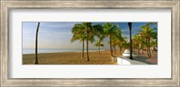 Palm trees on the beach, Las Olas Boulevard, Fort Lauderdale, Florida, USA Fine Art Print