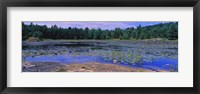 Pond in a national park, Bubble Pond, Acadia National Park, Mount Desert Island, Hancock County, Maine, USA Fine Art Print