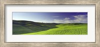 Clouds over landscape, Val D'Orcia, Siena Province, Tuscany, Italy Fine Art Print