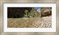 North Fork of the Virgin River, Zion National Park, Washington County, Utah, USA Fine Art Print