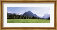 Trees on a hill with mountain range in the background, Karwendel Mountains, Risstal Valley, Hinterriss, Tyrol, Austria Fine Art Print