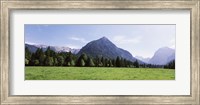 Trees on a hill with mountain range in the background, Karwendel Mountains, Risstal Valley, Hinterriss, Tyrol, Austria Fine Art Print