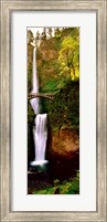 Footbridge in front of a waterfall, Multnomah Falls, Columbia River Gorge, Multnomah County, Oregon Fine Art Print