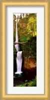 Footbridge in front of a waterfall, Multnomah Falls, Columbia River Gorge, Multnomah County, Oregon Fine Art Print