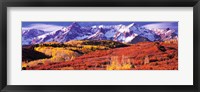 Forest in autumn with snow covered mountains in the background, Telluride, San Miguel County, Colorado, USA Fine Art Print