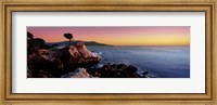Silhouette of Lone Cypress Tree at a coast, 17-Mile Drive, Carmel, Monterey County, California, USA Fine Art Print