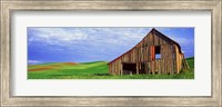 Dilapidated barn in a farm, Palouse, Whitman County, Washington State, USA Fine Art Print