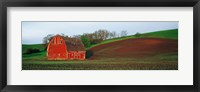 Red Barn in a Field at Sunset, Washington State, USA Fine Art Print